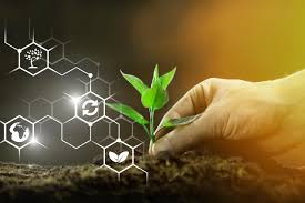 BIOSECURITE EN RDC : L’ONG JUREC PLAIDE POUR UNE LOI SPECIFIQUE SUR LES OGM