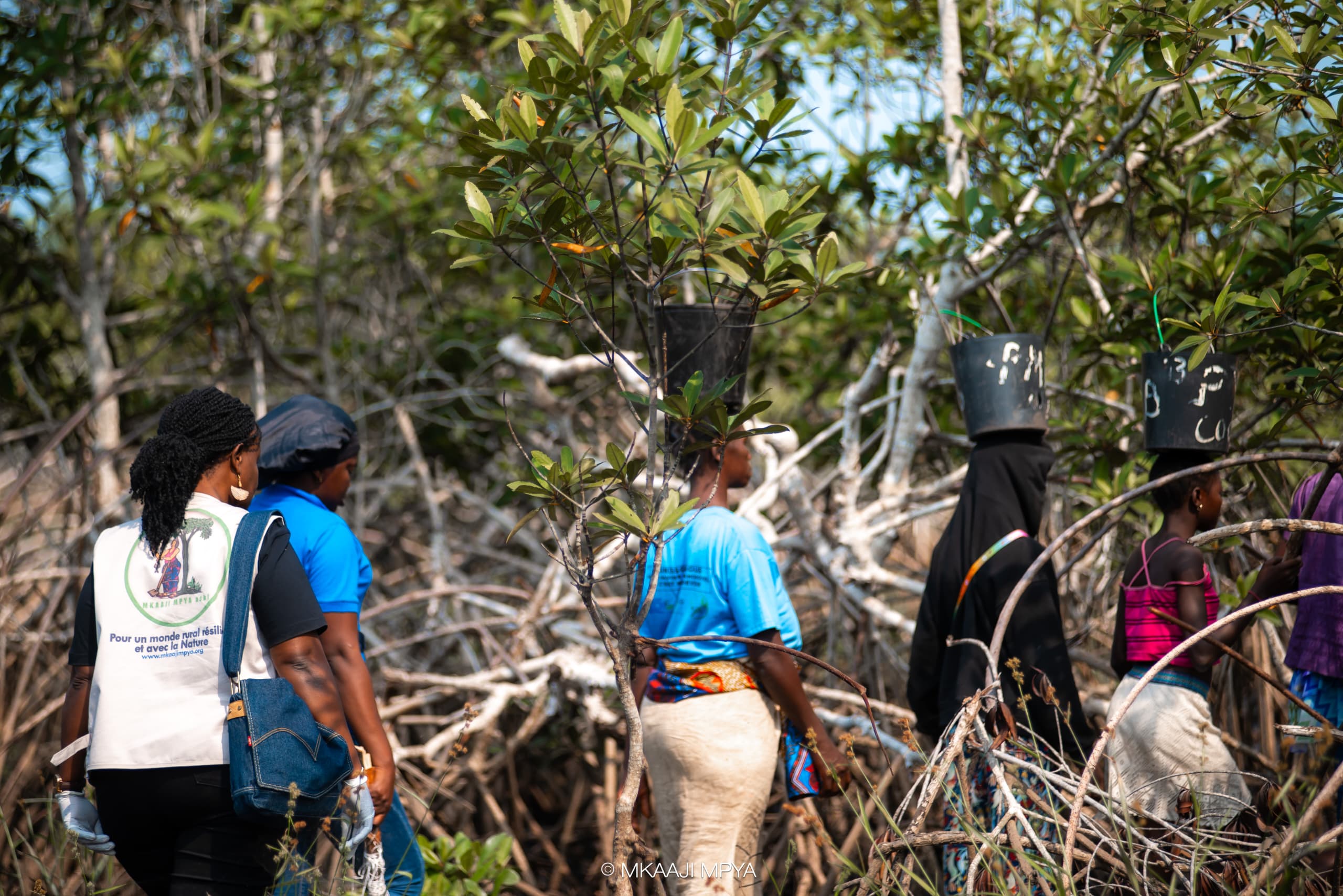 MKAAJI MPYA : Biodiversité et résilience communautaire au cœur de la conservation en RDC