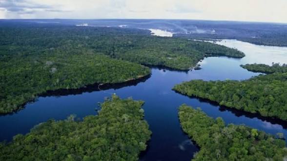 MORATOIRE SUR LES CONCESSIONS FORESTIÈRES EN RDC : LE GOUVERNEMENT PARVIENDRA-T-IL À GARANTIR DURABLEMENT LA PROTECTION DES FORÊTS DU BASSIN DU CONGO ?