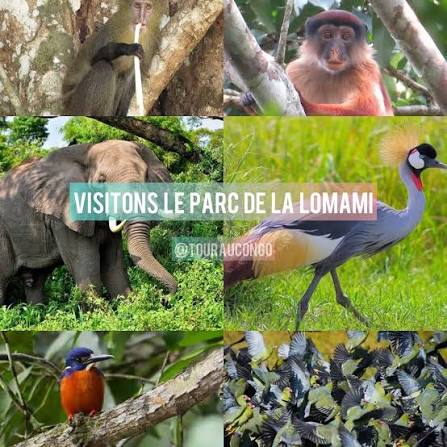Image après l'introduction