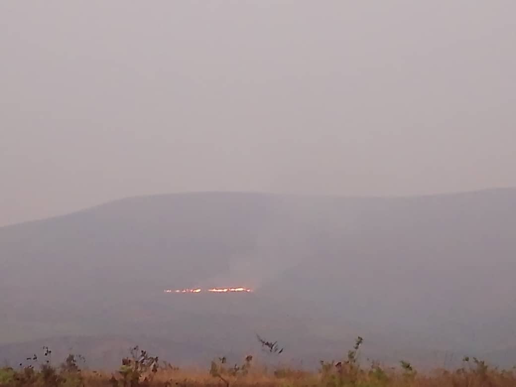 FEUX DE BROUSSE EN RDC : L'ÉDUCATION ENVIRONNEMENTALE, L'ARME LA PLUS EFFICACE CONTRE UN FLÉAU BANALISÉ