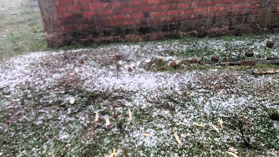 Kalonge : la première pluie de grêle enregistrée à Chifunzi suscite la crainte des pertes agricoles