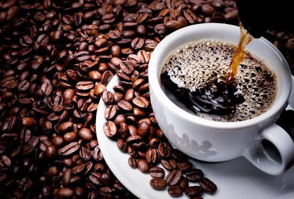 CAFÉ CONGOLAIS : QUAND L’AGROFORESTERIE PEUT CONCILIER BIODIVERSITÉ, CLIMAT ET REVENUS DES PRODUCTEURS